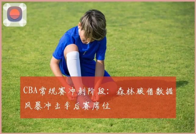 CBA常规赛冲刺阶段:森林狼借数据风暴冲击季后赛席位 - 虎扑体育推荐