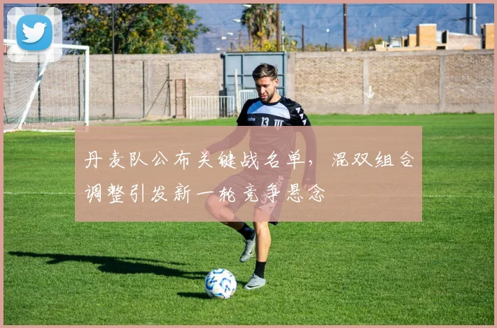 丹麦队公布关键战名单，混双组合调整引发新一轮竞争悬念 - 虎扑体育推荐